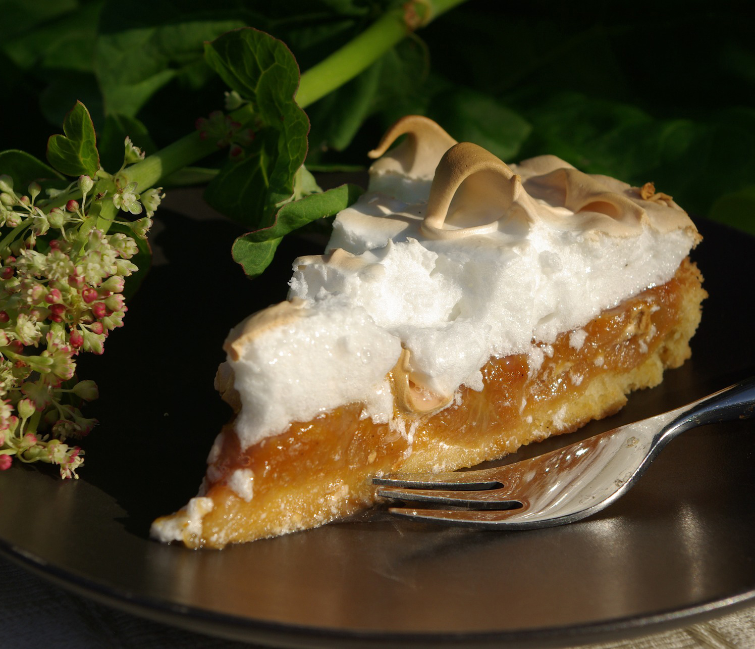 Rhabarberkuchen mit Baiserhaube